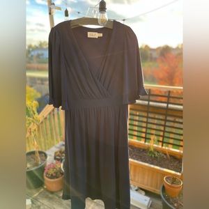 Eliza J Fit & Flare Dress